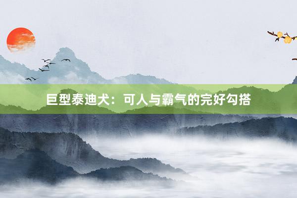 巨型泰迪犬：可人与霸气的完好勾搭