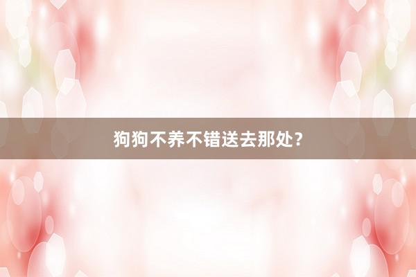 狗狗不养不错送去那处？