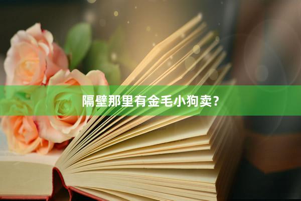 隔壁那里有金毛小狗卖？