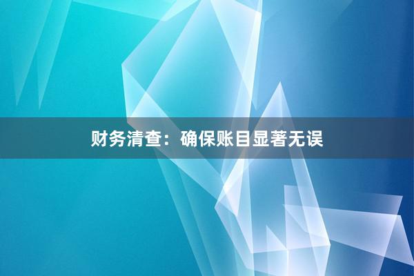 财务清查：确保账目显著无误